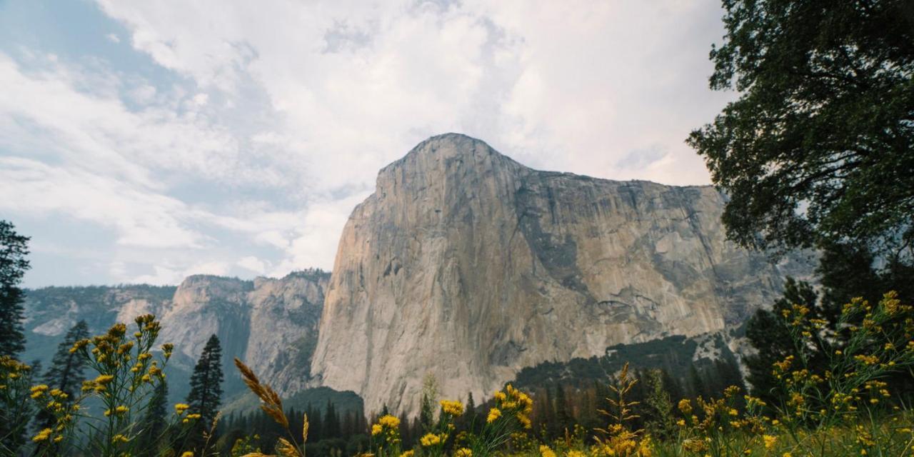 Hotel Autocamp Yosemite Midpines
