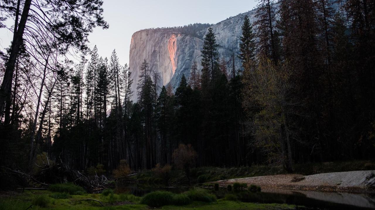 Autocamp Yosemite Hotel Midpines